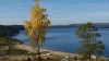 DSC00226.JPG
