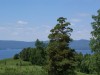 DSC00514.JPG