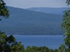 DSC00515.JPG