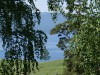 DSC00516.JPG
