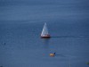 DSC00519.JPG