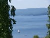 DSC00520.JPG