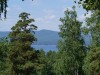 DSC00521.JPG