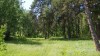 DSC03019.JPG