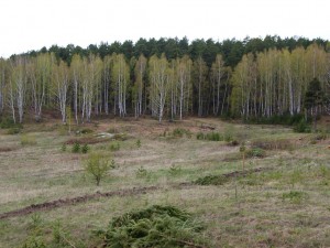 2011 Май