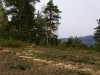 DSC09918.JPG