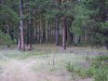 DSC09921.JPG