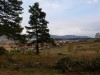 DSC09938.JPG