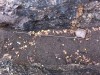 IMG_1145.JPG
