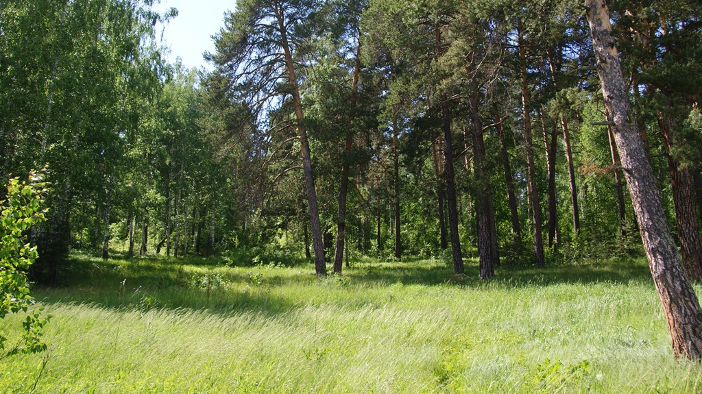 DSC03019.JPG