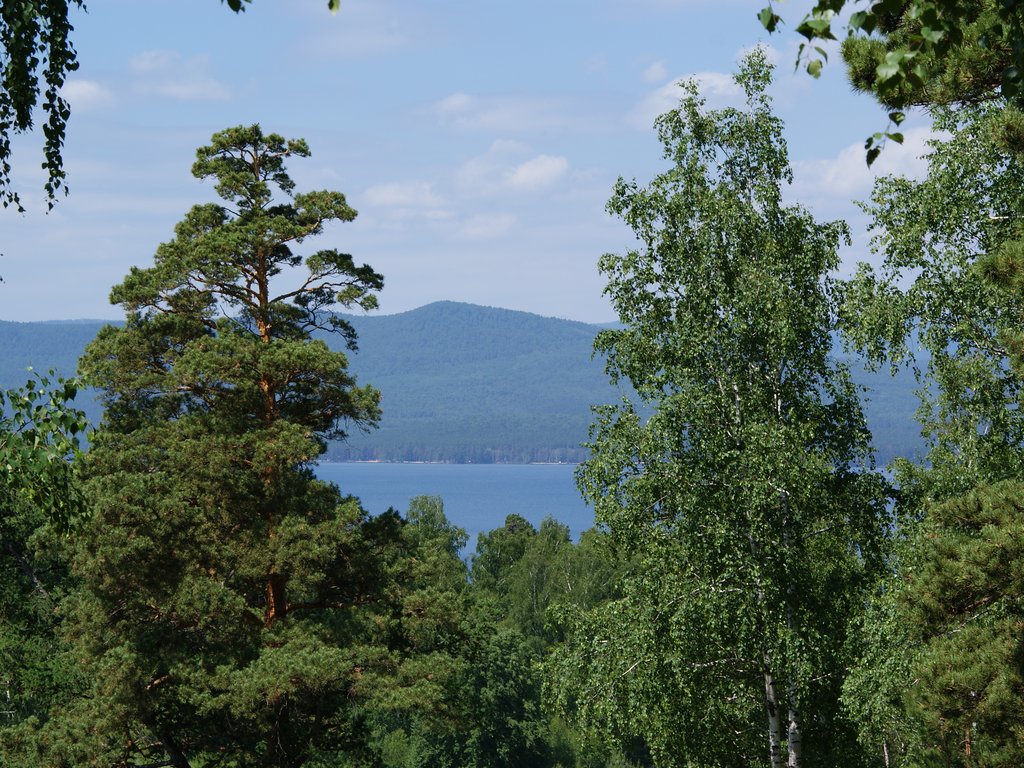 DSC00521.JPG