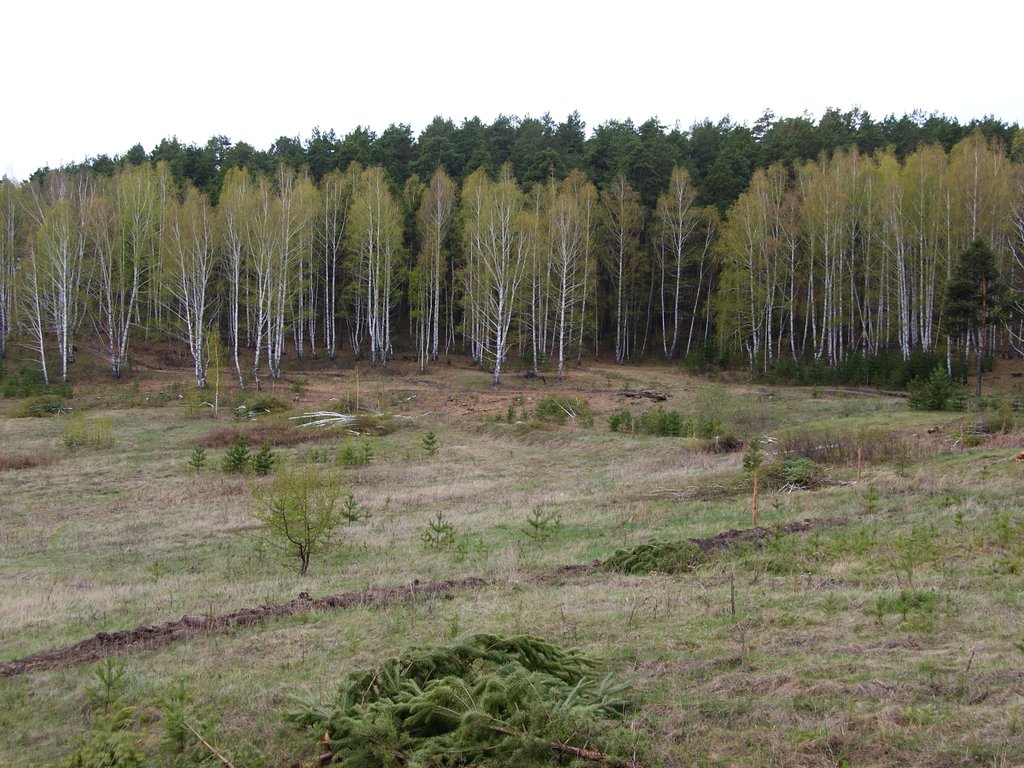 DSC09916.JPG