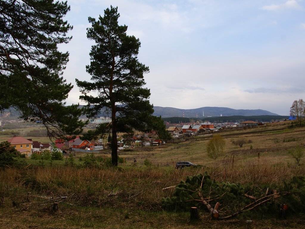 DSC09938.JPG