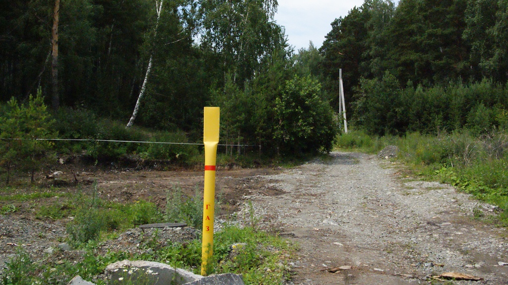 14.JPG